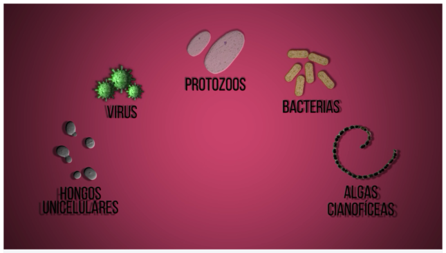 microbios